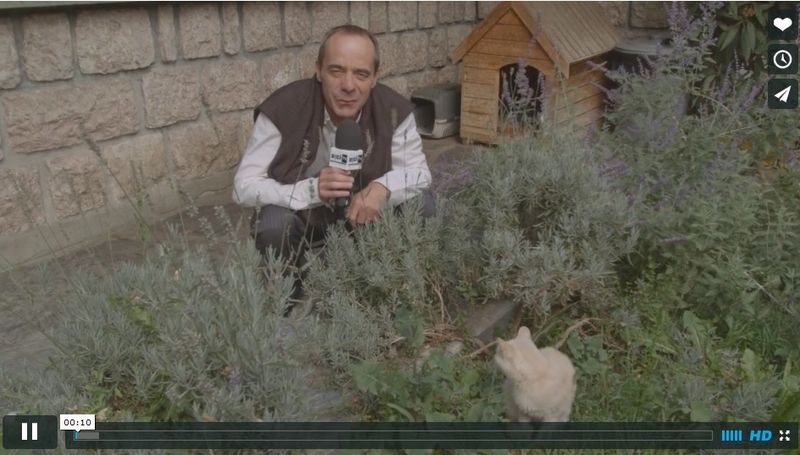 Dici tv 1 Dici tv 1
